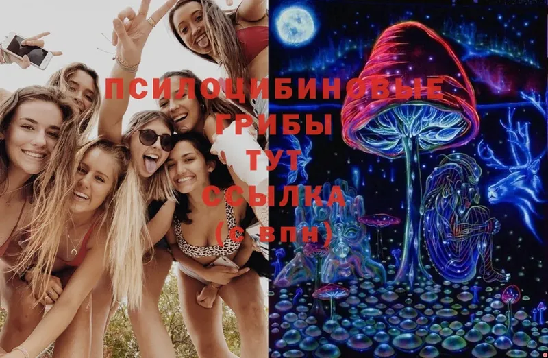 Псилоцибиновые грибы Cubensis  Татарск 